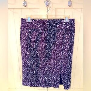 Express Design Studio Skirt